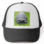 Paddy the tortoise., Old Timer. hats