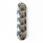 pagan the cat Skateboard