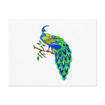 Pagiel Peacock Postcard