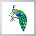 Pagiel Peacock posters