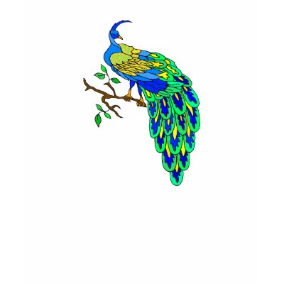 Pagiel Peacock T Shirts by BisforBirds