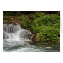 Pago Pago Cards