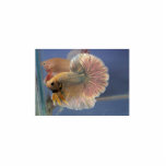 Pagoda Flower Ornament Photo Cutout