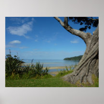 Pah Beach Pohutukawa Poster/Print