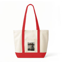 Paint Bag