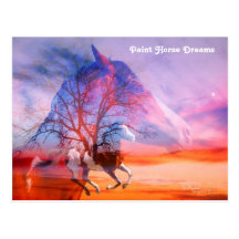 Paint Horse Dreams Postcard