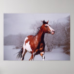 Paint Horse in Snow, Poster