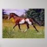 Paint Horse in Spring, Poster