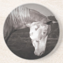 Paint Horse in the Badlands Beverage Coaster
