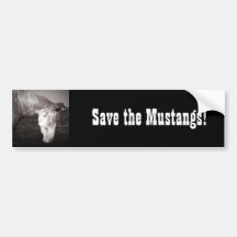 Paint Horse in the badlands Bumper Sticker