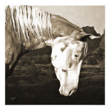 Paint Horse in the Badlands Invitation