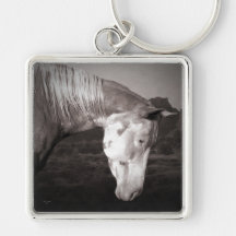 Paint Horse in the Badlands Key Chain