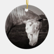 Paint Horse in the Badlands Christmas Tree Ornaments