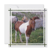 Paint Horse Invitation