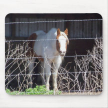 Paint horse Mousepad