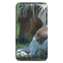 Paint Pony Resting iTouch Case Barely There iPod Cases