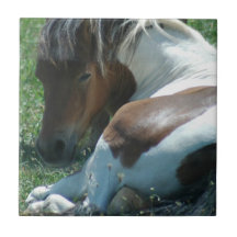 Paint Pony Resting Tile