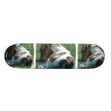 Paint Pony Skateboard