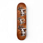 Paint Skateboard
