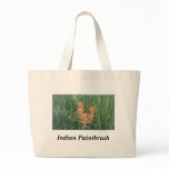 Paintbrush bags