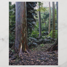 Painted bark eucalyptus, Maui, Hawaii Custom Flyer