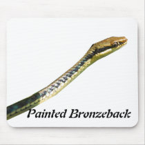 Painted Bronzeback Mousepad