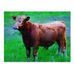 Painted Brown Cow Post Card