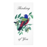 Painted Bunting Thinking of You rack cards