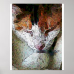 Painted Calico posters