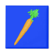 Painted Carrot magnets