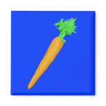 Painted Carrot magnets