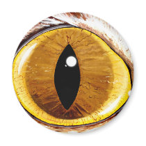 Painted Cat's Eye Fridge Magnets