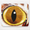 Painted Cat's Eye mousepads