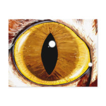 Painted Cat's Eye Postcards