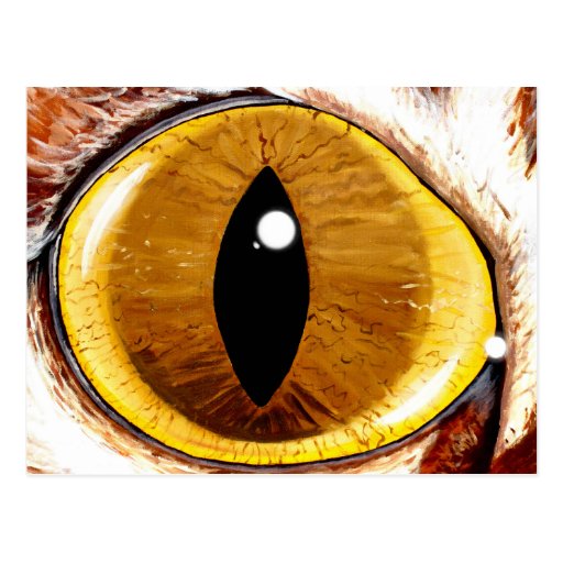 Painted Cat's Eye Postcards