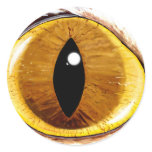 Painted Cat's Eye stickers