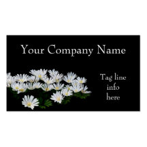 Painted Daisies Business Card Template