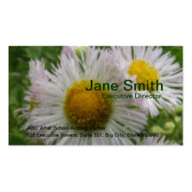 Painted Daisy 2 Business Card Templates