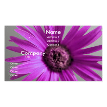 Painted Daisy Business Card