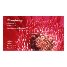 Painted Daisy Business Card Templates