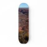Painted Deserts skateboards