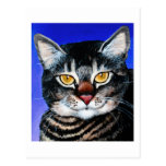 Painted Fat Cat Postcards