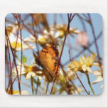 Painted Lady 1108 mousepads
