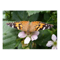 Painted Lady butterfly ~ ATC