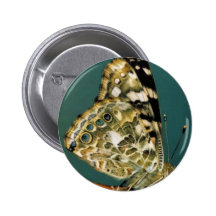 Painted lady butterfly buttons