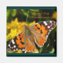 Painted Lady Butterfly Magnet