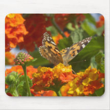 Painted Lady Butterfly Mouse Mat