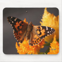 Painted Lady Butterfly Mouse Pad