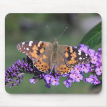 Painted Lady Butterfly Mouse Pads