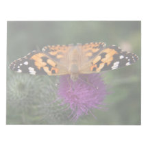 Painted lady butterfly scratch pads